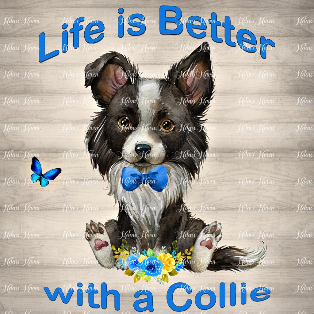 Life is Better Border Collie