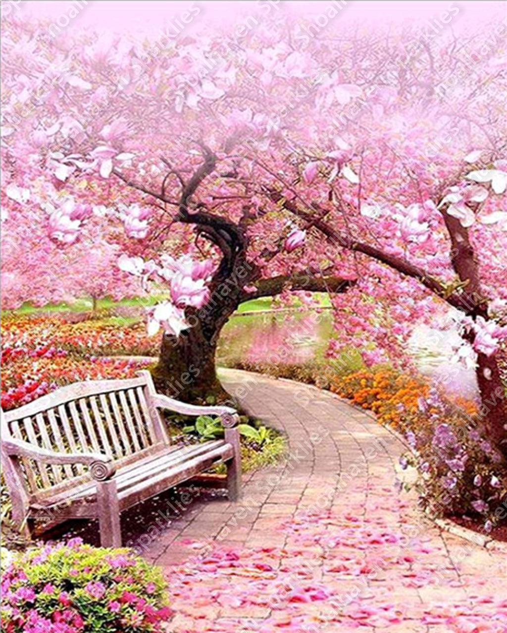 There is a bench placed on a pathway which meanders through trees with pink blossoms