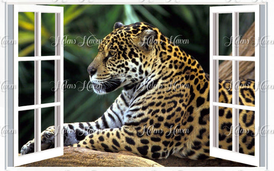 Leopard Window 50x70