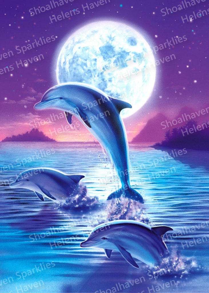 Dolphin Moon 40x50