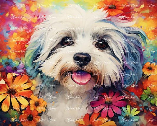 Happy Havanese in flowers