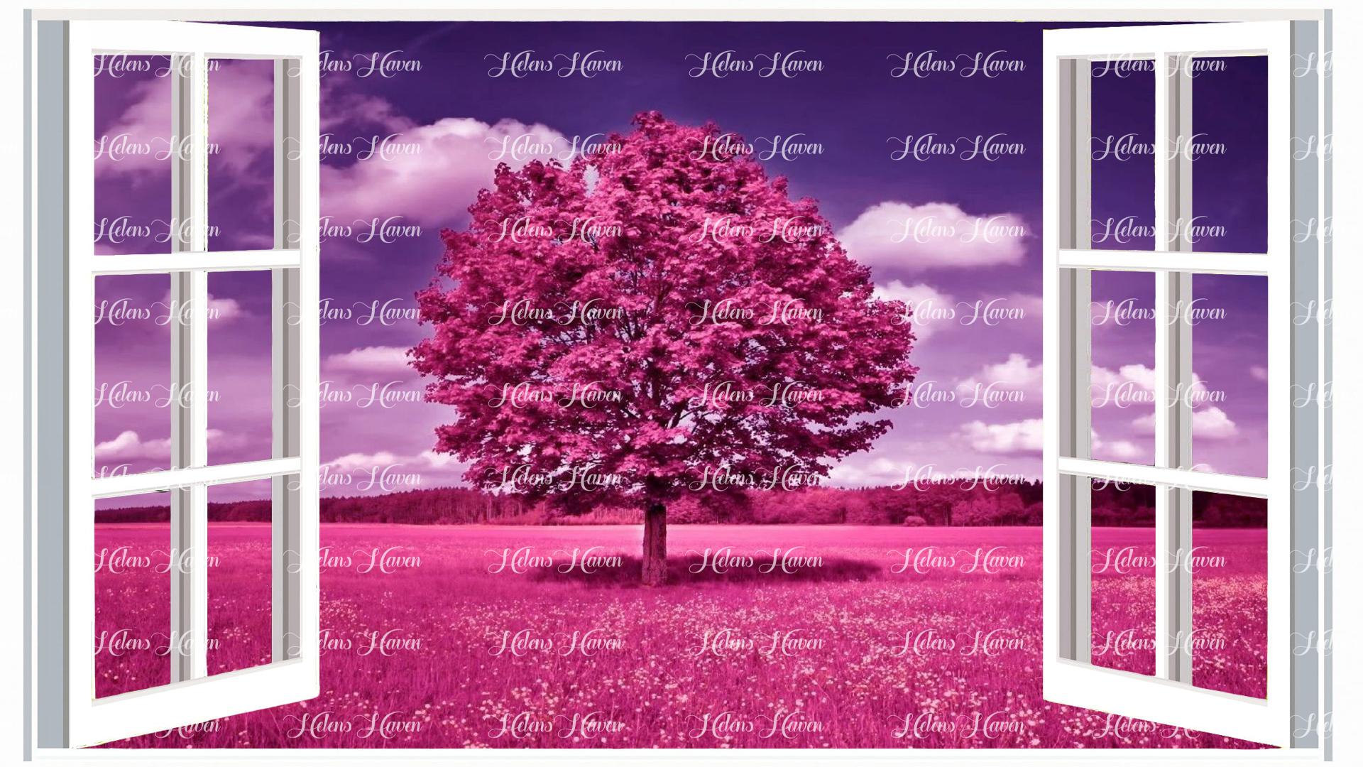 Pink fields with a pink tree inside.