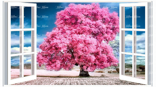 a field with a large tree full of pink blooms