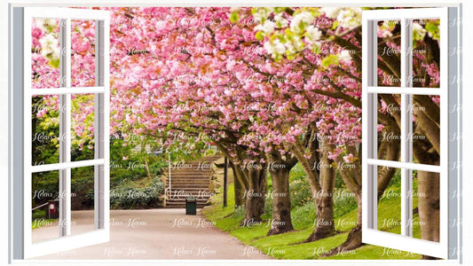 Cherry blossom trees alongside a pathway