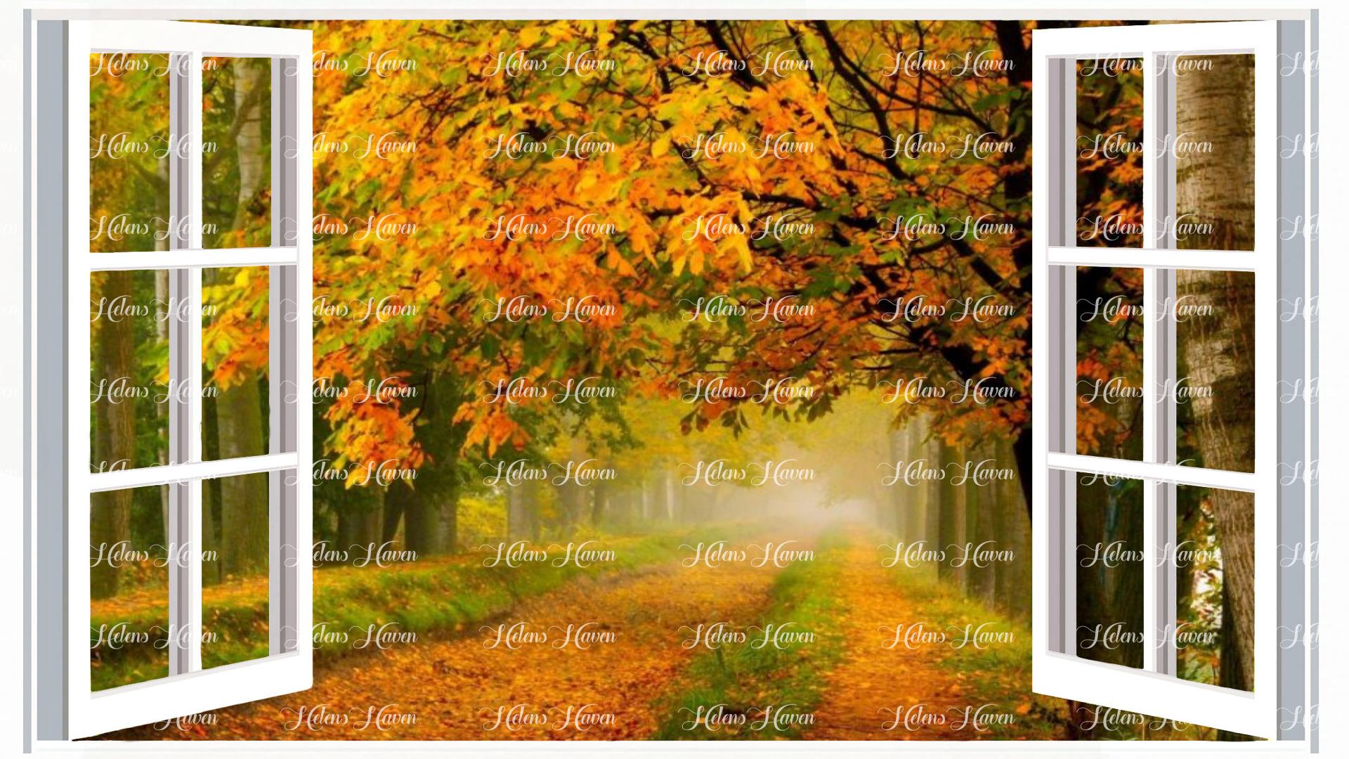 Autumn leaves falling on a road with fog in the distance