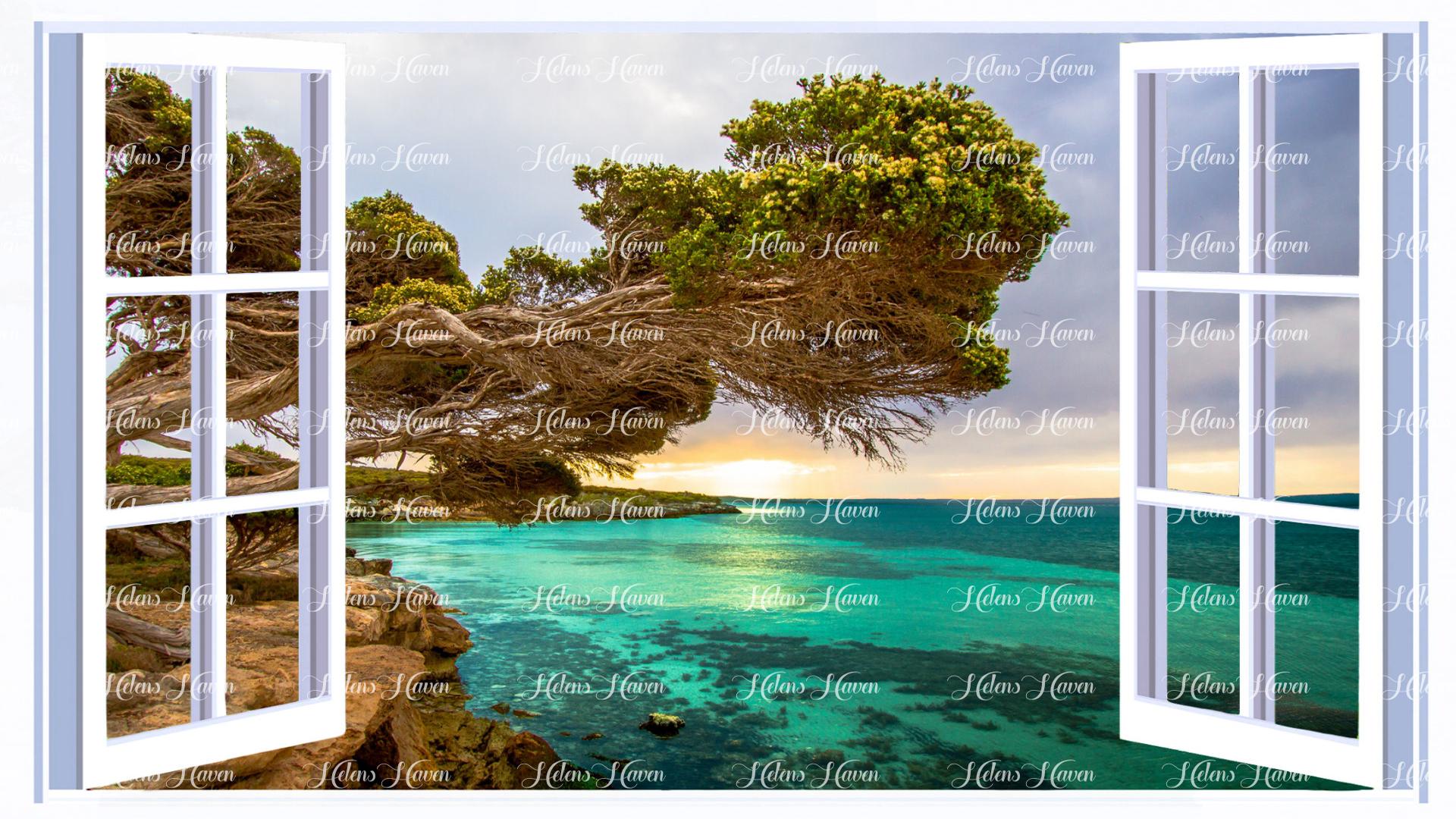 A tree which has stood the test of time and storms perches on the cliffs above an ocean