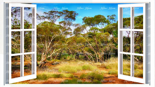 Bushland somewhere in Australia