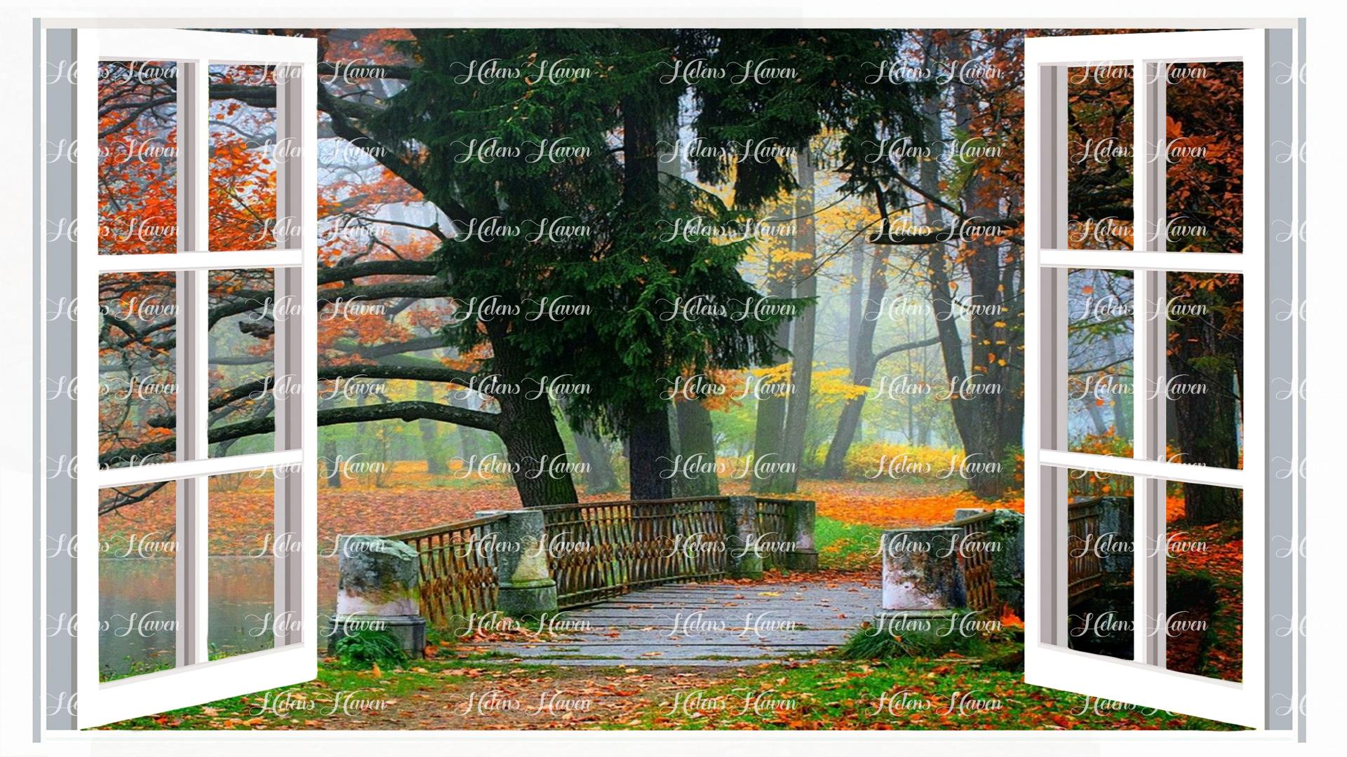 The forest during autumn with a bridge across a river