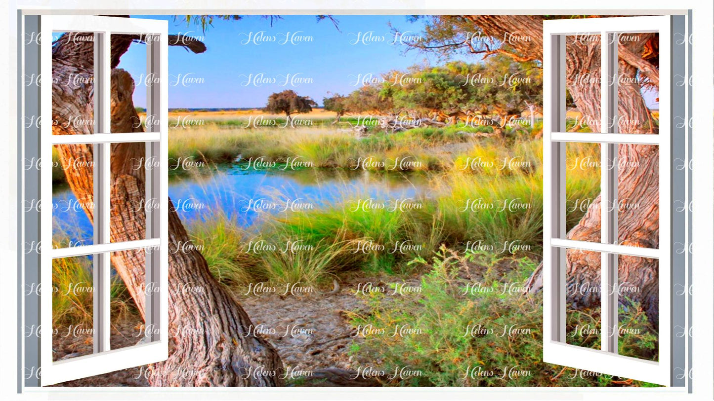 A scene next to a billabong in a country landscape