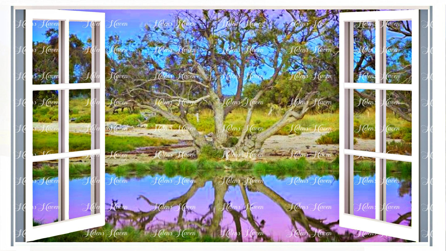 The tree reflecting in a billabong lake at sunset.