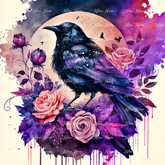 A symphony of pinks, purples and black surround this fluffy raven 