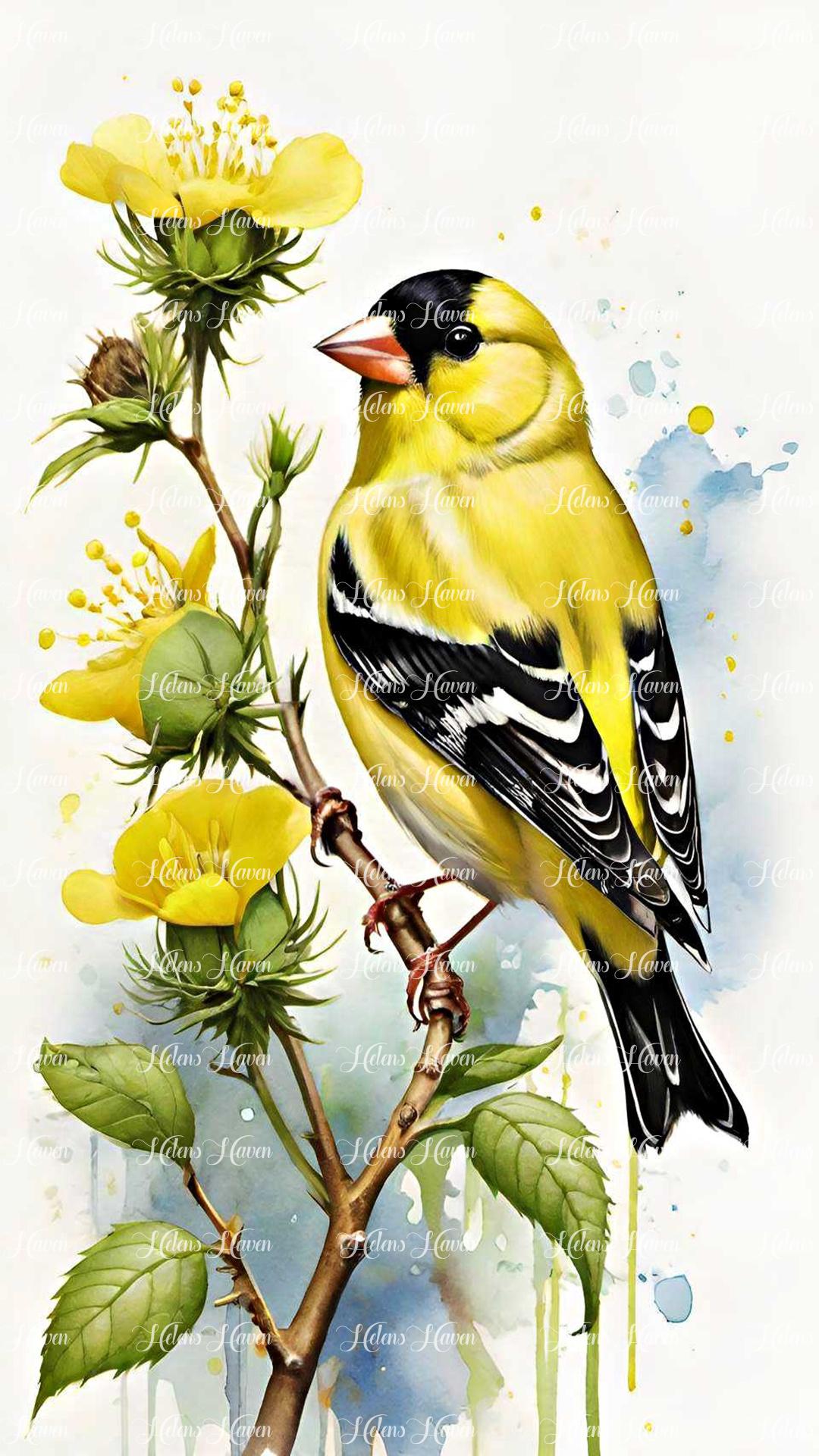 A magnificent yellow and black finch perches gracefully in a tree, its bright plumage standing out against the lush green leaves.