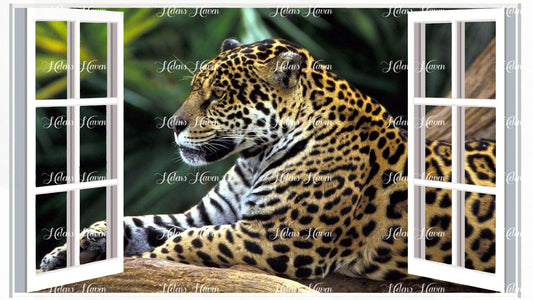 Looking through a white window frame, a jaguar is seen prowling gracefully in the forest beyond. 