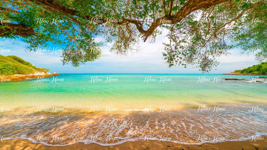 A beach view features a tranquil stretch of golden sand and gently rolling waves, framed by an overhanging tree branch that stretches gracefully from the edge of the scene.