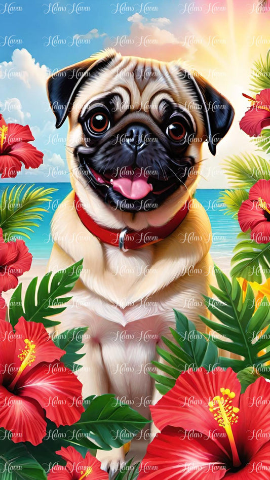 Red Hibiscus Pug