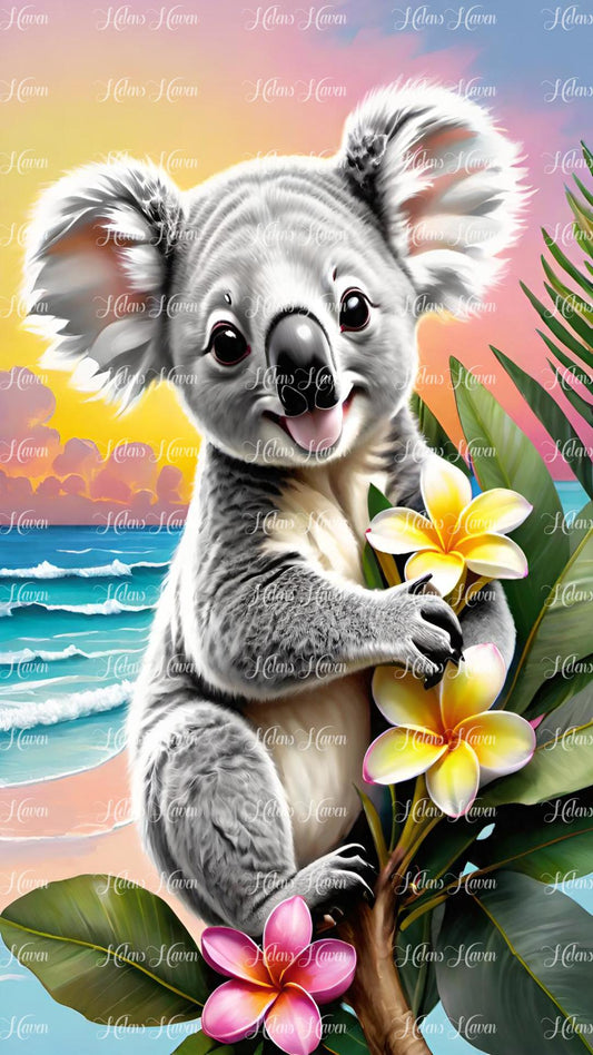 Frangipani Koala