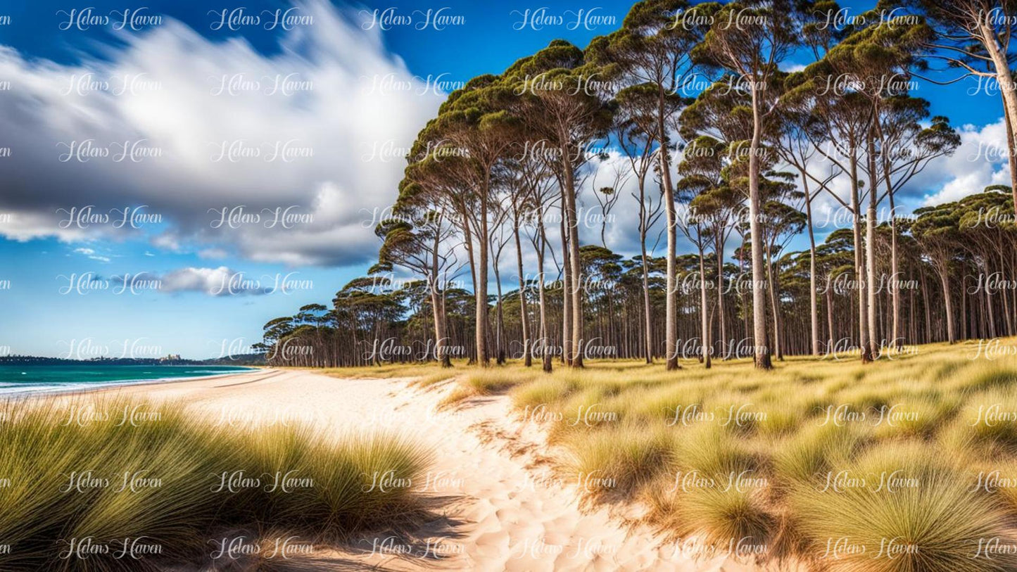 Tree lined beach