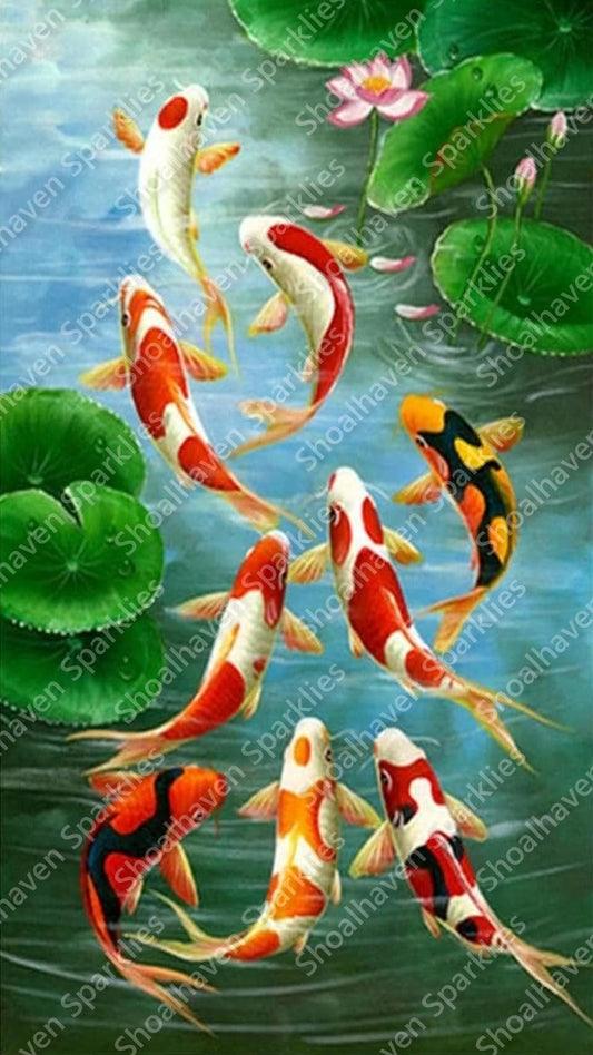 The koi gather in a pond at feeding time amongst the lilypads and lotus flowers