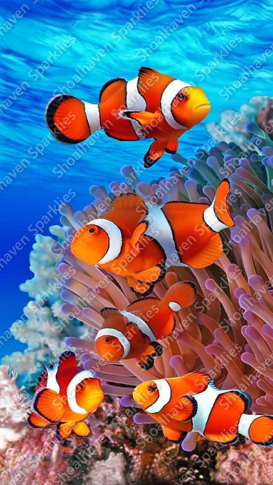 A family of clown fish swimming near coral