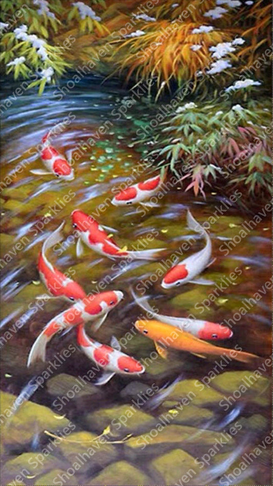 A group of Koi Fish meet in a crystal clear pool of water