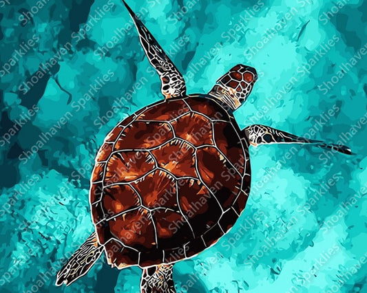A turtle glides through crystal blue waters