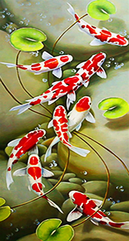 Koi Pond