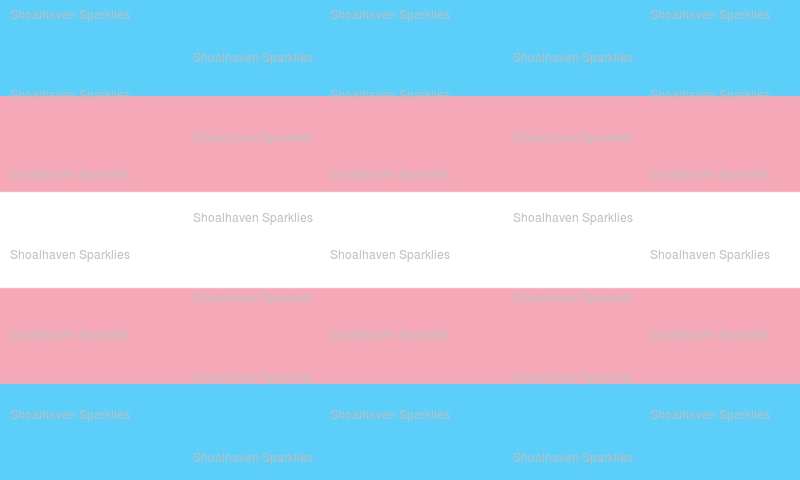 Transexual Pride Flag 30x40