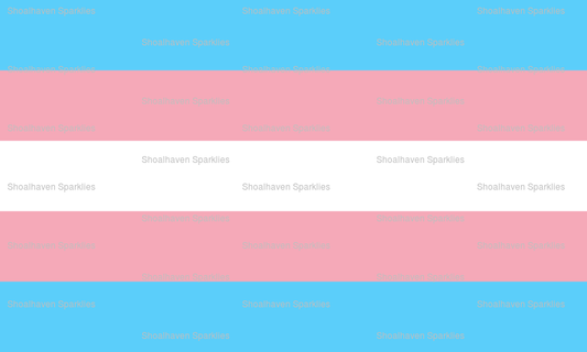 Transexual Pride Flag 30x40