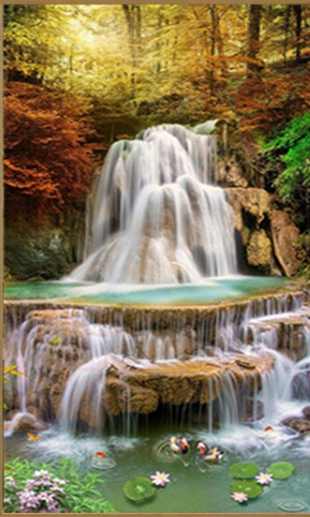 Mandarin Duck Waterfall